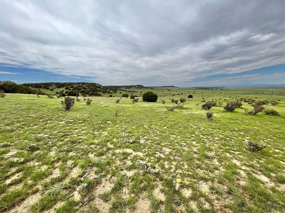 53999 Kit Carson Trl Model, CO, 81059 Apartments for Rent Zillow