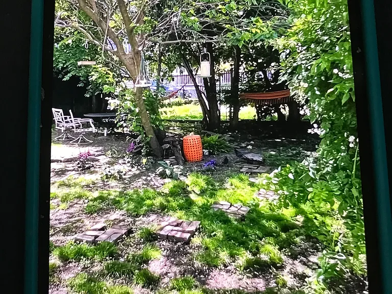 Yard