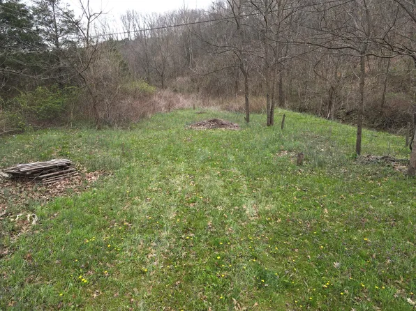 3605 Josephine Rd, Sadieville, KY 40370