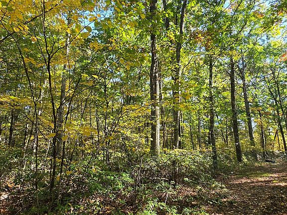 4th image of Lot #86 Perry Pond Road