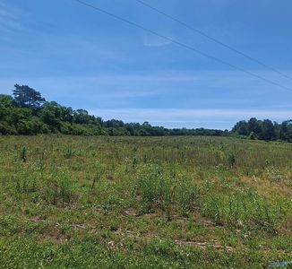 2390 Martling Gap Rd, Albertville, AL, 35951