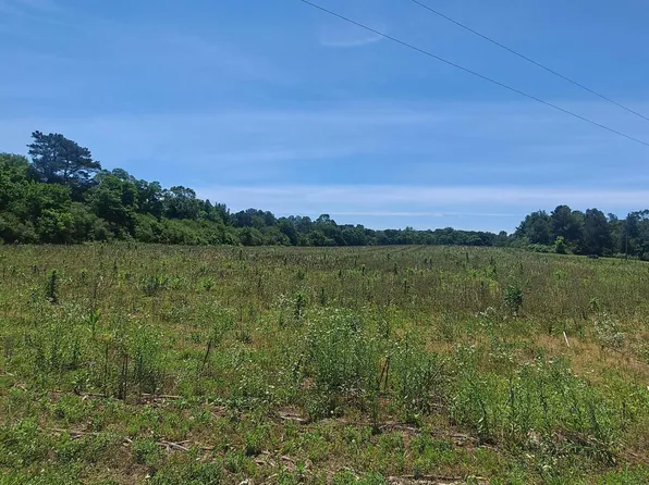2390 Martling Gap Rd, Albertville, AL 35951
