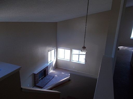 3rd image of 13706 Black Elm Ct