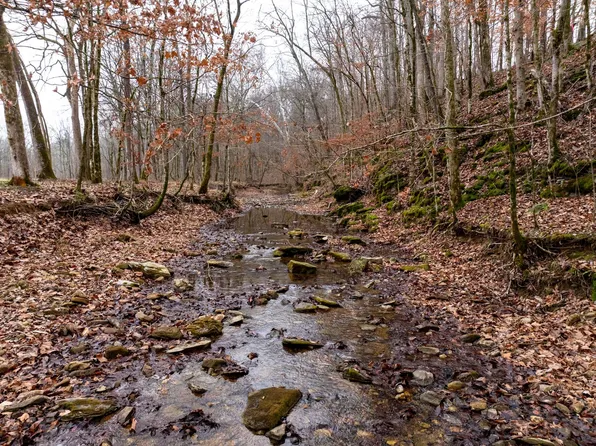 0 Shelter Branch Rd Lot 3, Cumberland Furnace, TN 37051