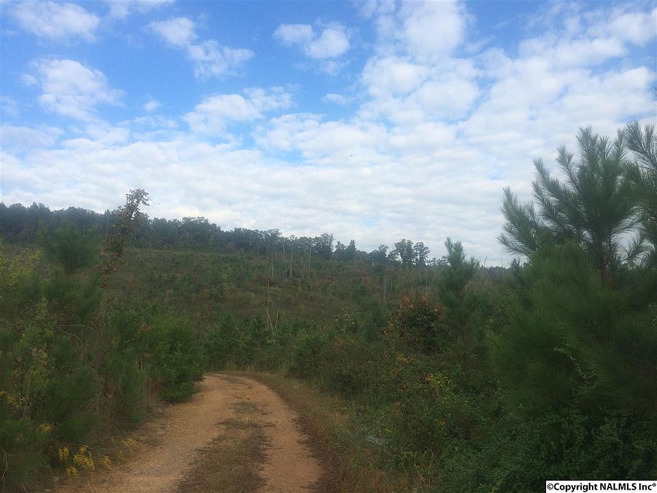 2nd image of 1285 County Road 140