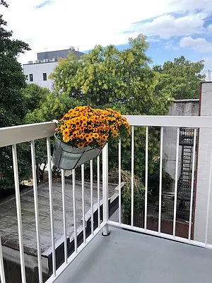 Sold by Douglas Elliman | media 6