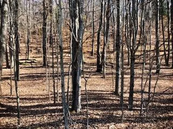 393 Joe Rd, Lincklaen, NY 13052