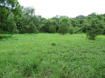 0 Quail Hollow Ln, Franklin, NC, 28734