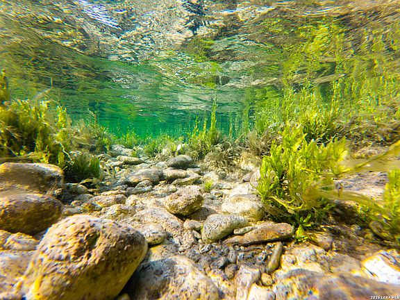 2nd image of 000 RM 336