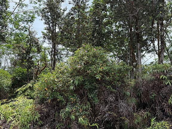 3rd image of Puainako Street Extension B Lot 34