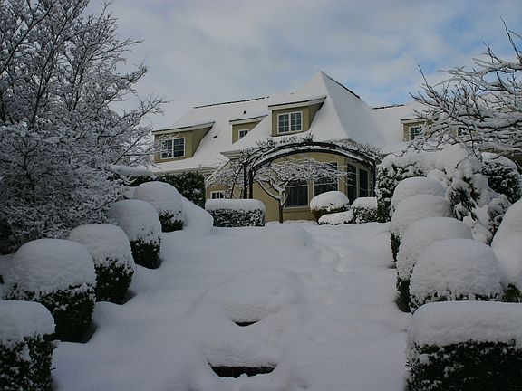 Back view, winter