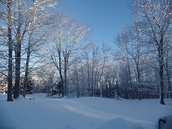 Winter glow, front yard