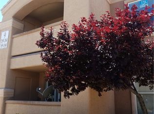 8101 W Flamingo Rd UNIT 2060, Las Vegas, NV 89147