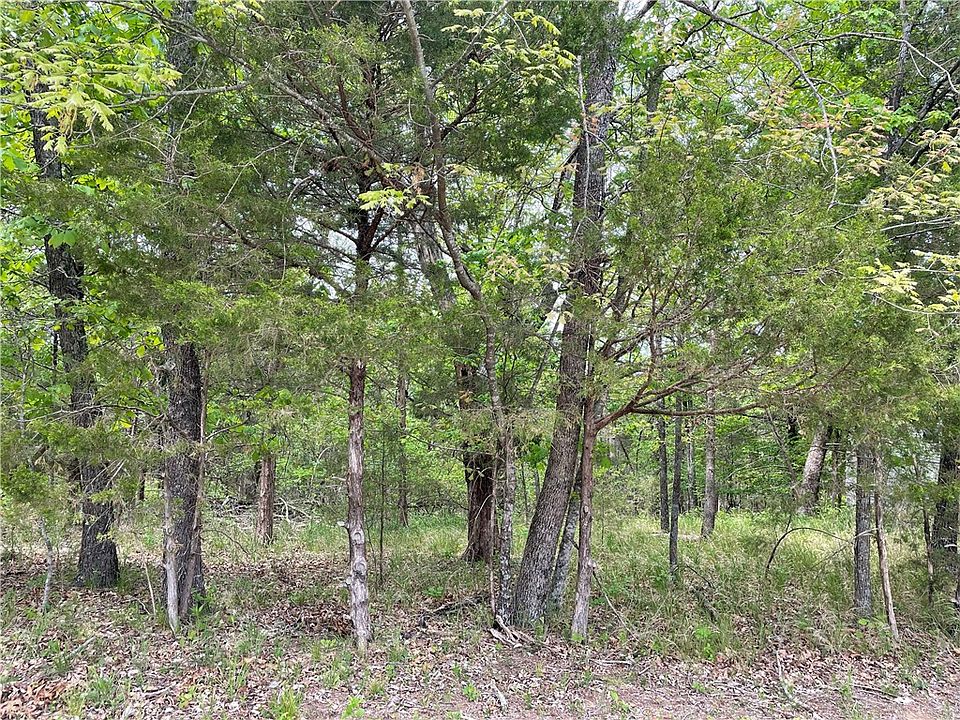 2nd image of 42 Twin Peak Dr