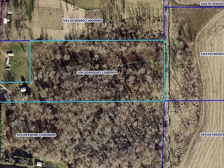 Maple Rd — Photo 15