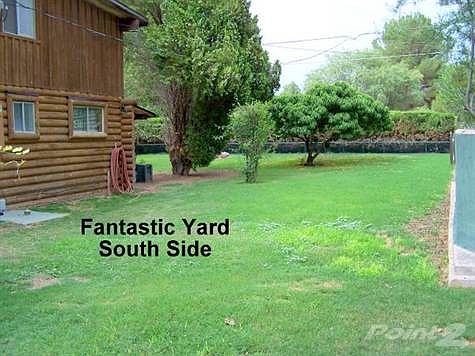 Has Lots of Grass