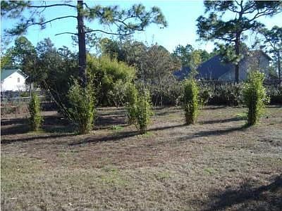 3rd image of 2501 Water Oak Cir