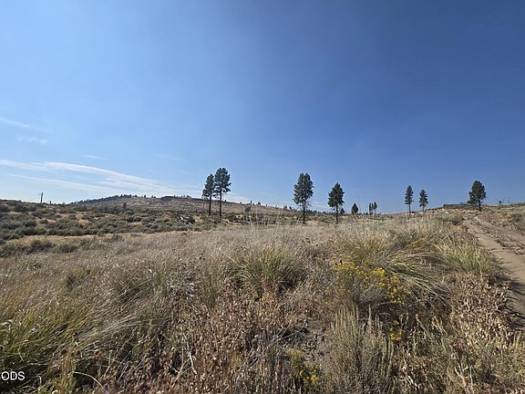 2nd image of Ram Rd #6