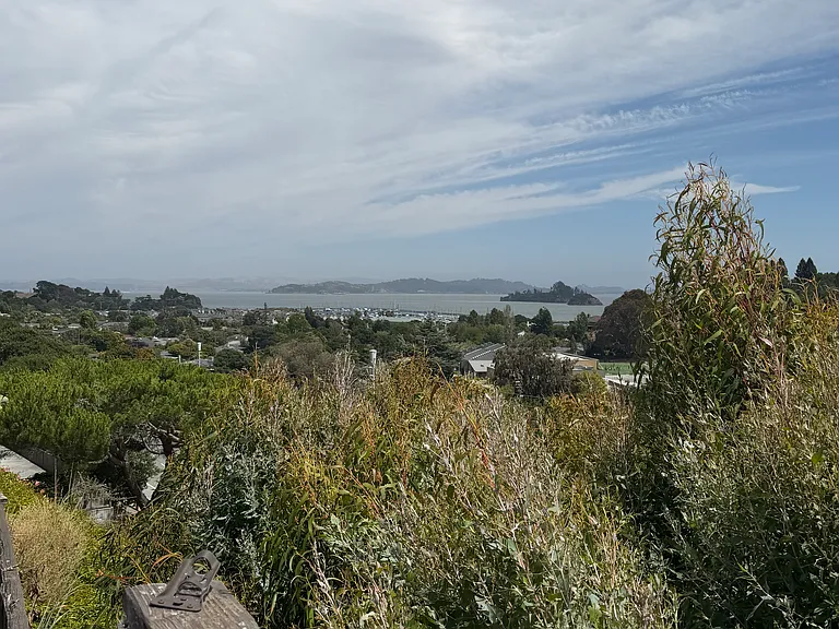 Arguello Cir — Photo 8