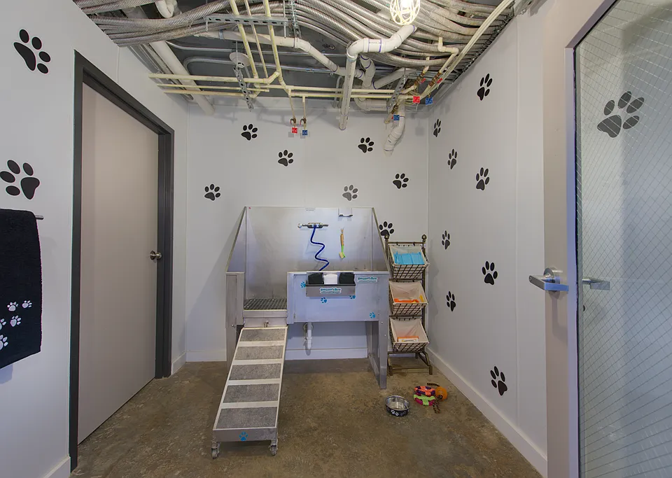 The Metropolitan Apartments Interior Pet Salon