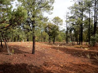 2286 Thunderbird Way, Overgaard, AZ 85933