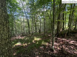 217 Sawmill Branch Rd, Banner Elk, NC 28604