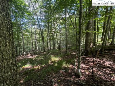 217 Sawmill Branch Road, Banner Elk, NC, 28604