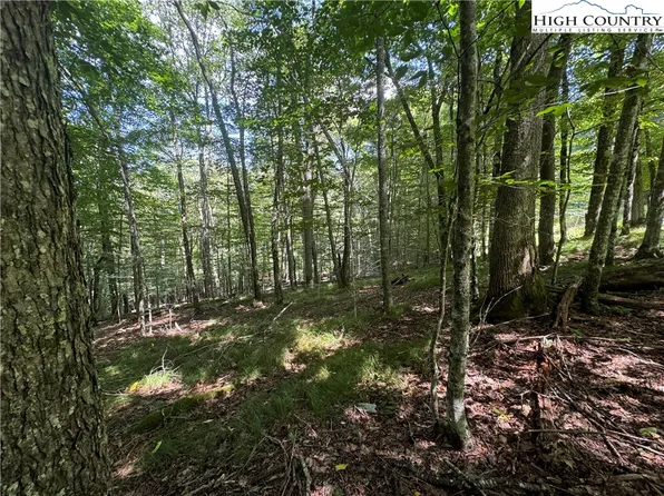 217 Sawmill Branch Road, Beech Mountain, NC 28604