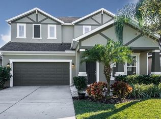 8238 Nectar Ridge Ct, Odessa, FL 33556