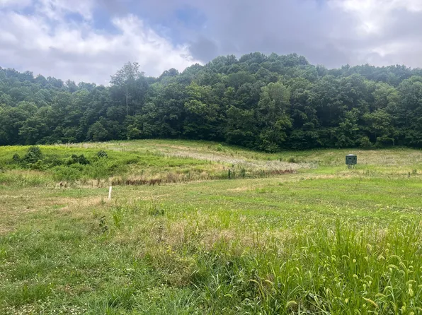 1022 Massey Hollow Ln, Dixon Springs, TN 37057