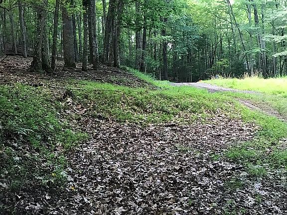 2nd image of 640 Possum Holler Trl