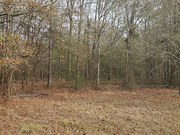 2nd image of 110 Kim Ct