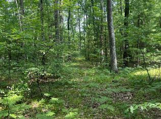 0 James St, Wellston, MI 49689