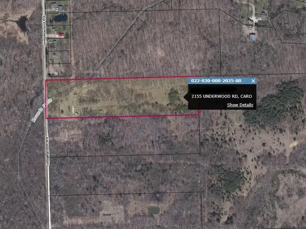2155 Underwood Rd, Caro, MI 48723