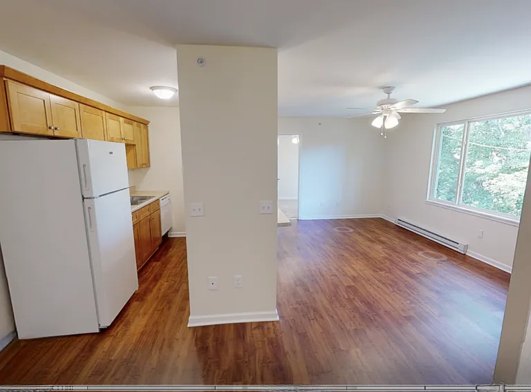 Great Light, new kitchen, new appliances and plank flooring. New windows - all new everything!