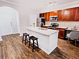 The Pointe at Suwanee Station