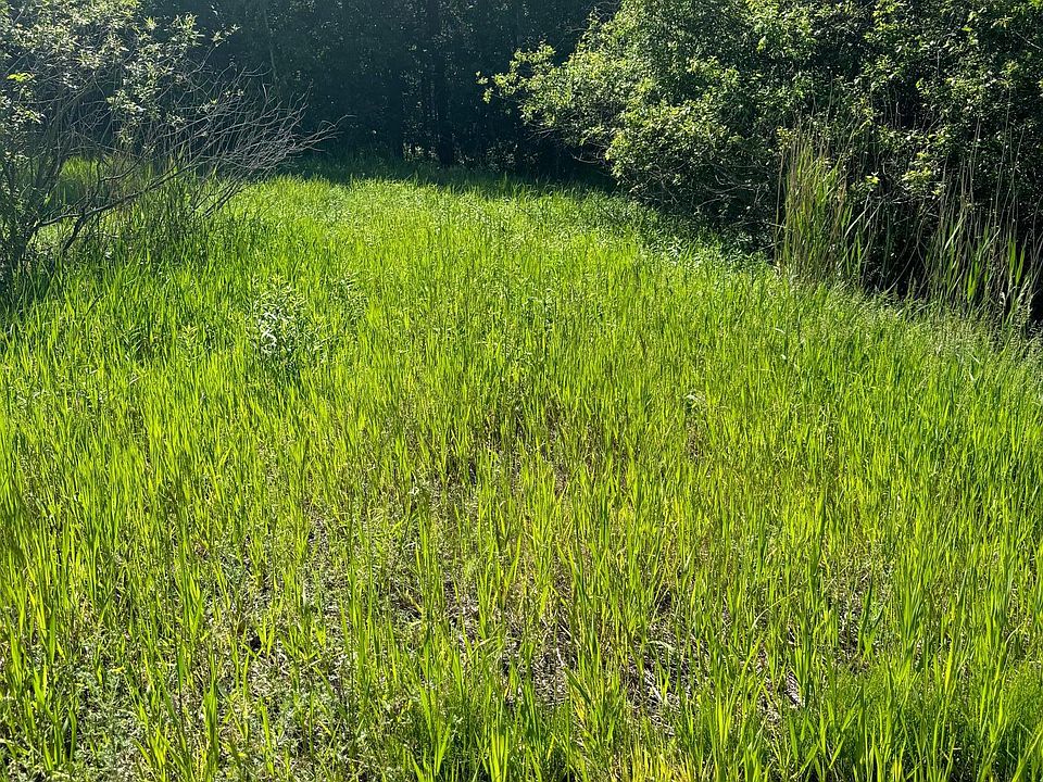 2nd image of County Road 29
