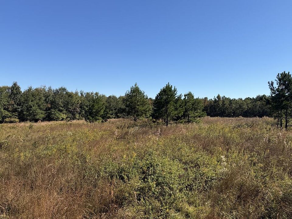 1st image of 20.17 Ac Roy Williams Rd