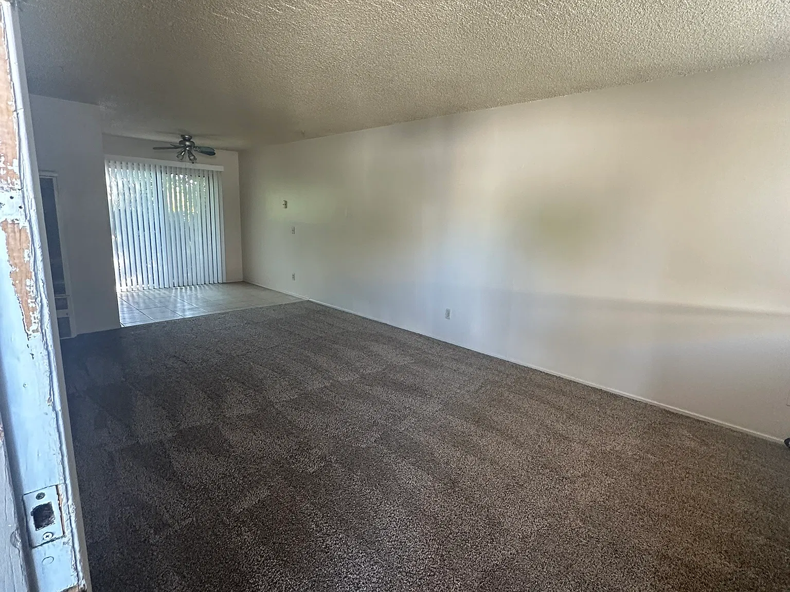 1 bed, $900 — Photo 3