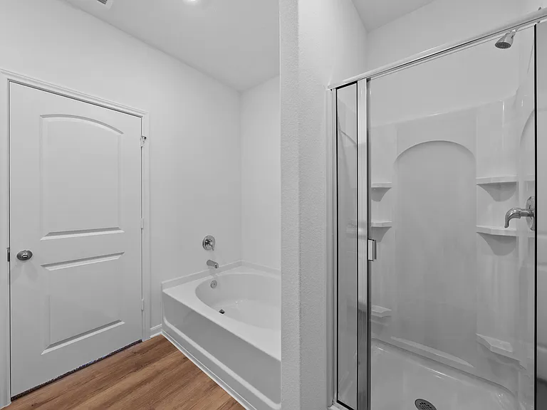 Step-in shower and separate tub in the master bathroom.