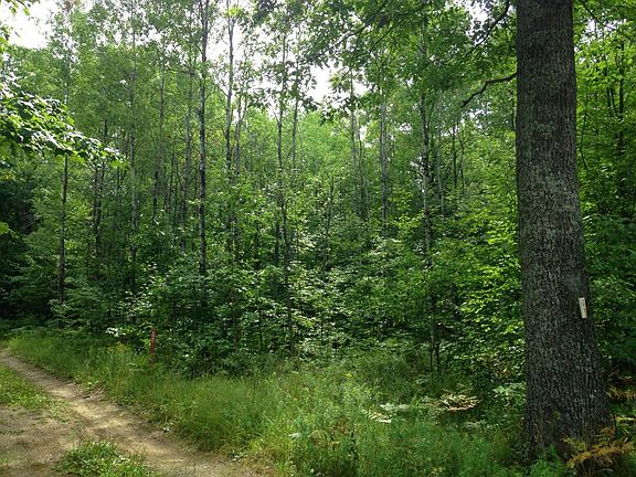 4th image of Mud Lake Rd