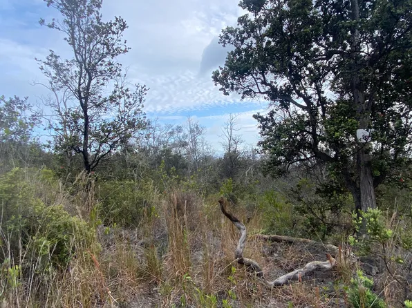 Aloha Blvd Lot 6, Ocean View, HI 96737