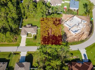 59 Karat Path, Palm Coast, FL 32164