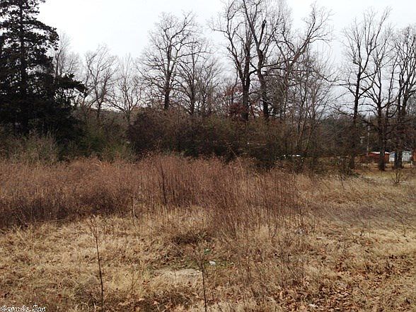 2nd image of 411 Woody Dr