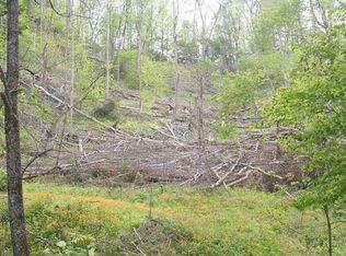 264 Chandler Branch Rd, Mars Hill, NC 28754