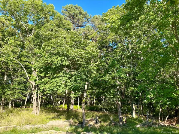 Granny Road, Medford, NY 11763