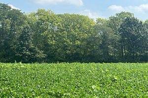 3rd image of 720 County Road 1350 N