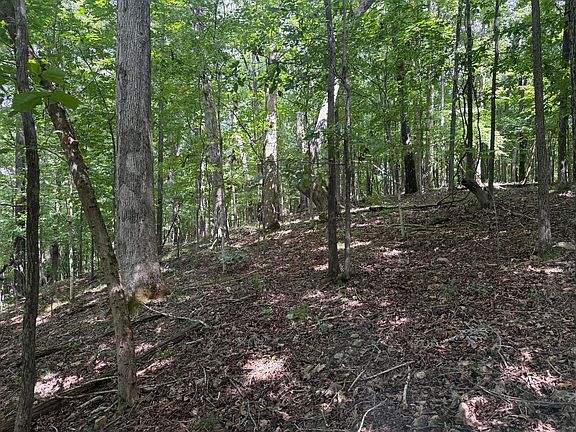 2nd image of 0 Perry Springs Rd