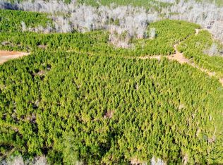 0 Ararat Rd TRACT A, Toxey, AL 36921