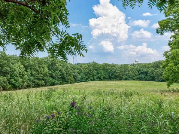 1008 Brickyard Rd, Hillsboro, MO 63050